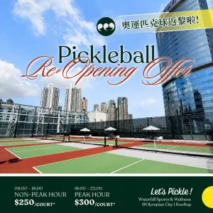pickleball 匹克球